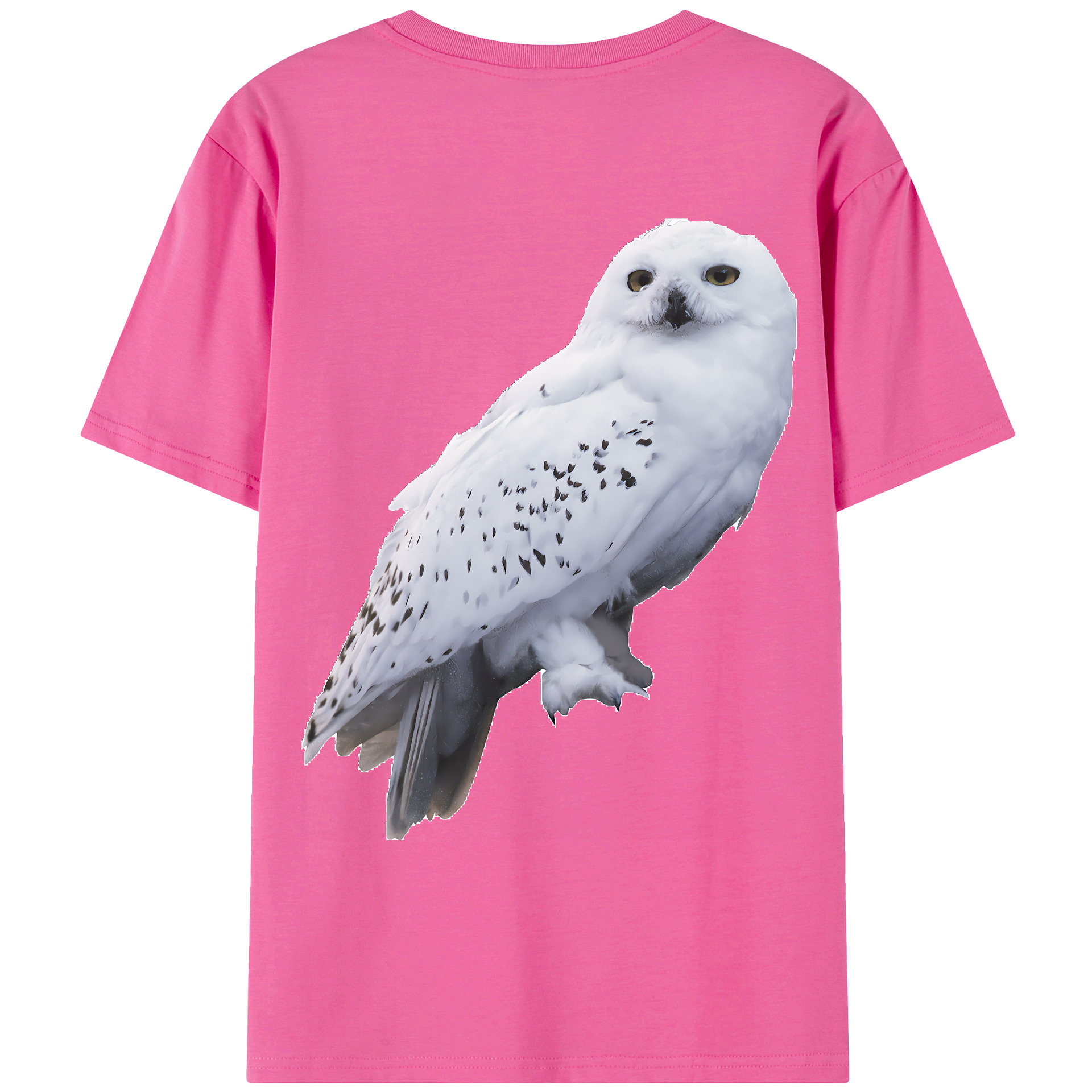 （画像用） Harry Potter ハリー・ポッターシリーズ レディース半袖Tシャツ(バックプリント)